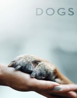 Amigos Caninos temporada 1