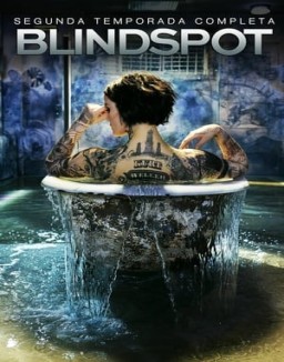 Blindspot temporada 2